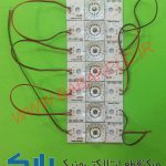 بک لایت همه کاره 6ولت لنز مربع