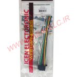 سوکت پخش پایونیر جدید ICEN