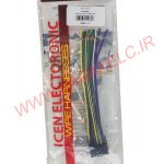 سوکت پخش پایونیر قدیم ICEN